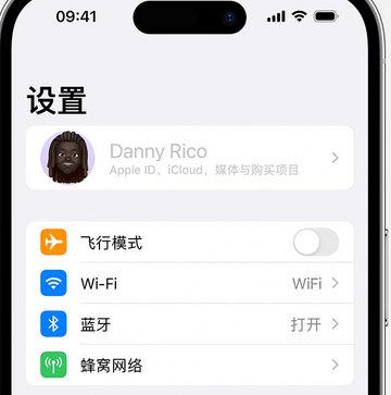 人民路街道appleID维修服务iPhone设置中Apple ID显示为灰色无法使用