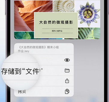 人民路街道apple维修中心分享iPhone文件应用中存储和找到下载文件