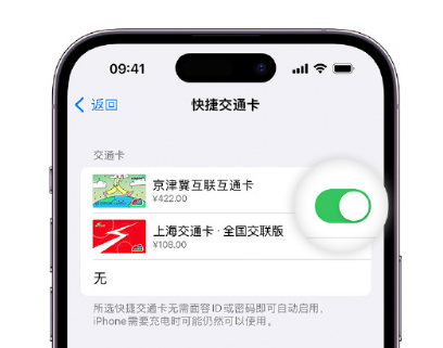 人民路街道apple维修点分享iPhone上更换Apple Pay快捷交通卡手绘卡面 