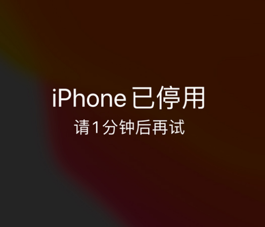 人民路街道苹果手机维修分享:iPhone 显示“不可用”或“已停用”怎么办？还能保留数据吗？ 