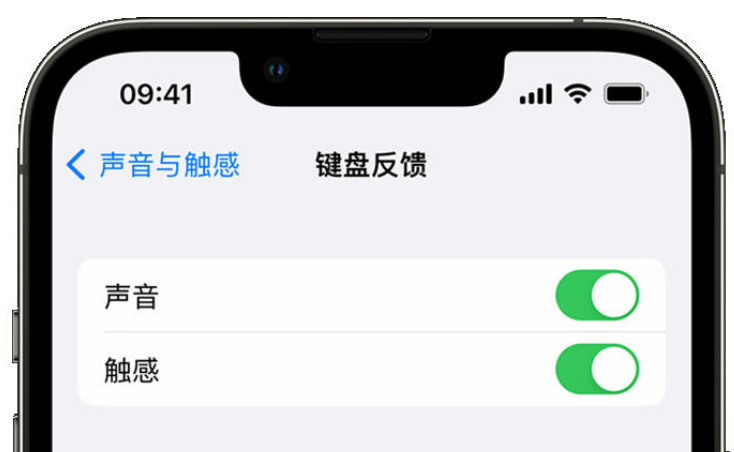 人民路街道苹果手机维修分享iPhone 14触感键盘使用方法 