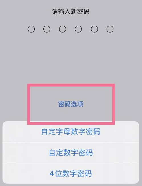 人民路街道苹果14维修分享iPhone 14plus设置密码的方法 