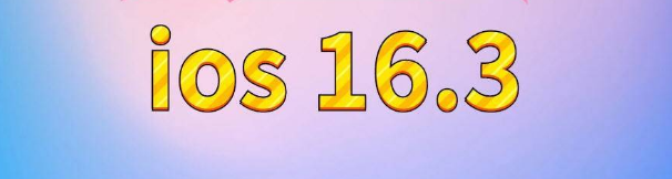 人民路街道苹果服务网点分享苹果iOS16.3升级反馈汇总 