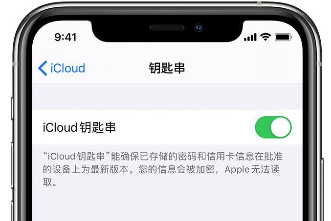 人民路街道苹果手机维修分享在 iPhone 上开启 iCloud 钥匙串之后会储存哪些信息 