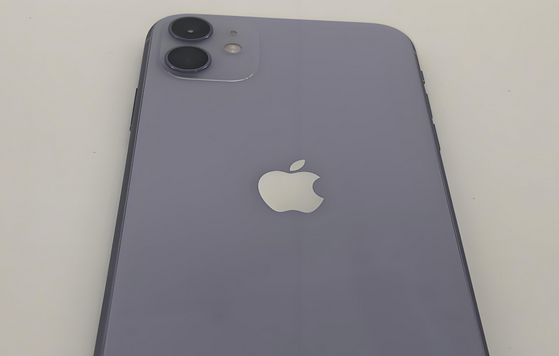 人民路街道苹果11系统维修分享iPhone11手机系统崩溃无法开机如何解决